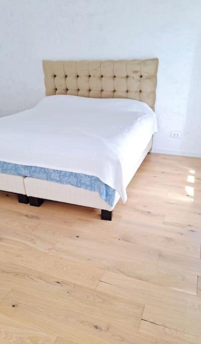 Pineview Lempes Villa Brassó Kültér fotó