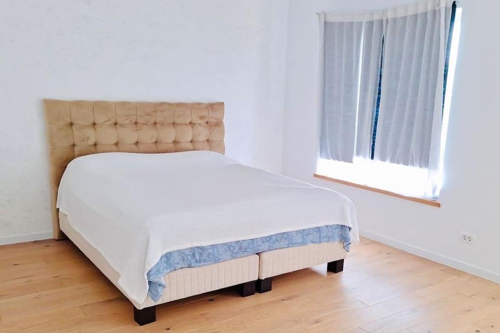 Pineview Lempes Villa Brassó Kültér fotó
