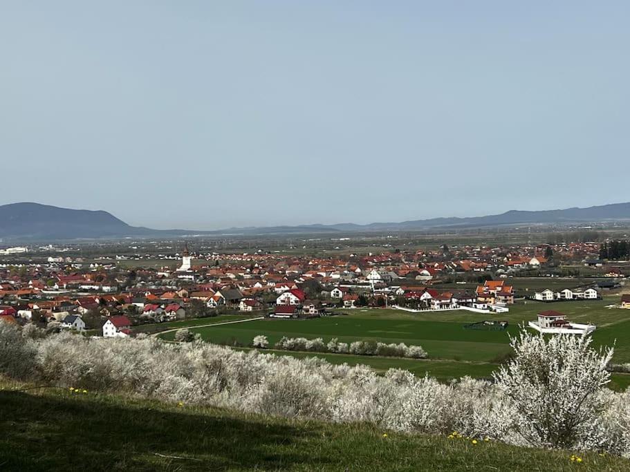 Pineview Lempes Villa Brassó Kültér fotó