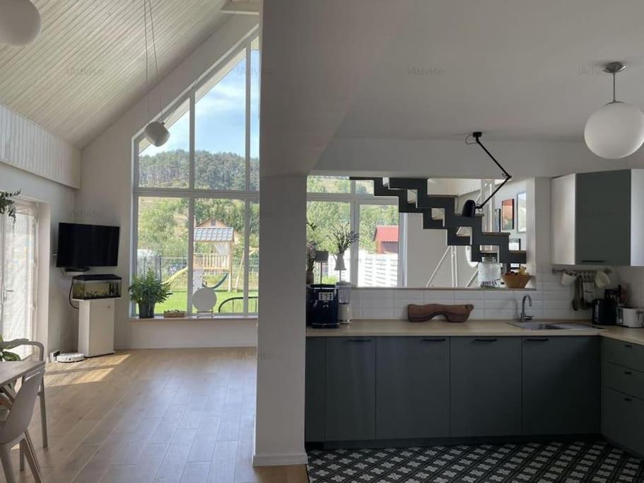 Pineview Lempes Villa Brassó Kültér fotó